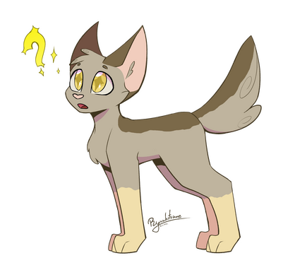 Full body, no background